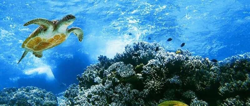 Hostal Albatros San Cristóbal Dış mekan fotoğraf
