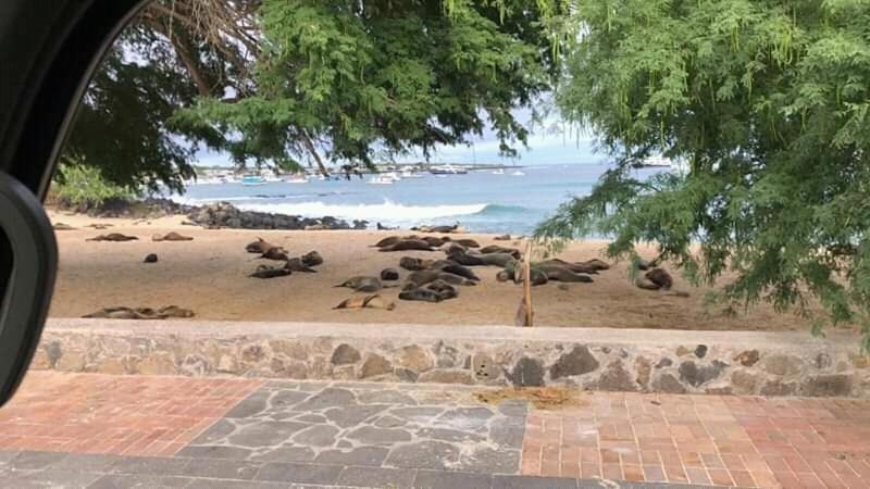 Hostal Albatros San Cristóbal Dış mekan fotoğraf